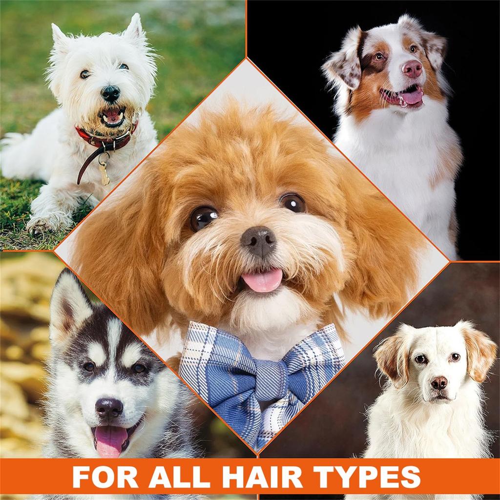 4-in-1 Beruhigendes Hundeshampoo - Reinigt, Pflegt, Glättet, Spendet Feuchtigkeit Mit Lavendel Kamille - Tierfreundliche Formel 300ml