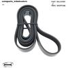 Serpentine Belt 6PK2240 Fits 2000 2003-2006 Toyota Tundra Sequoia 4Runner Models
