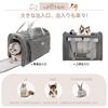 LPOTIUS Faltbare Haustiertransportbox Kleine Transportbox Katzen Hundetransportbox Kommt mit Leine, um zu verhindern, dass Haustiere herausspringen Haustiertransportbox Abnehmbar Ideal zum Reisen
