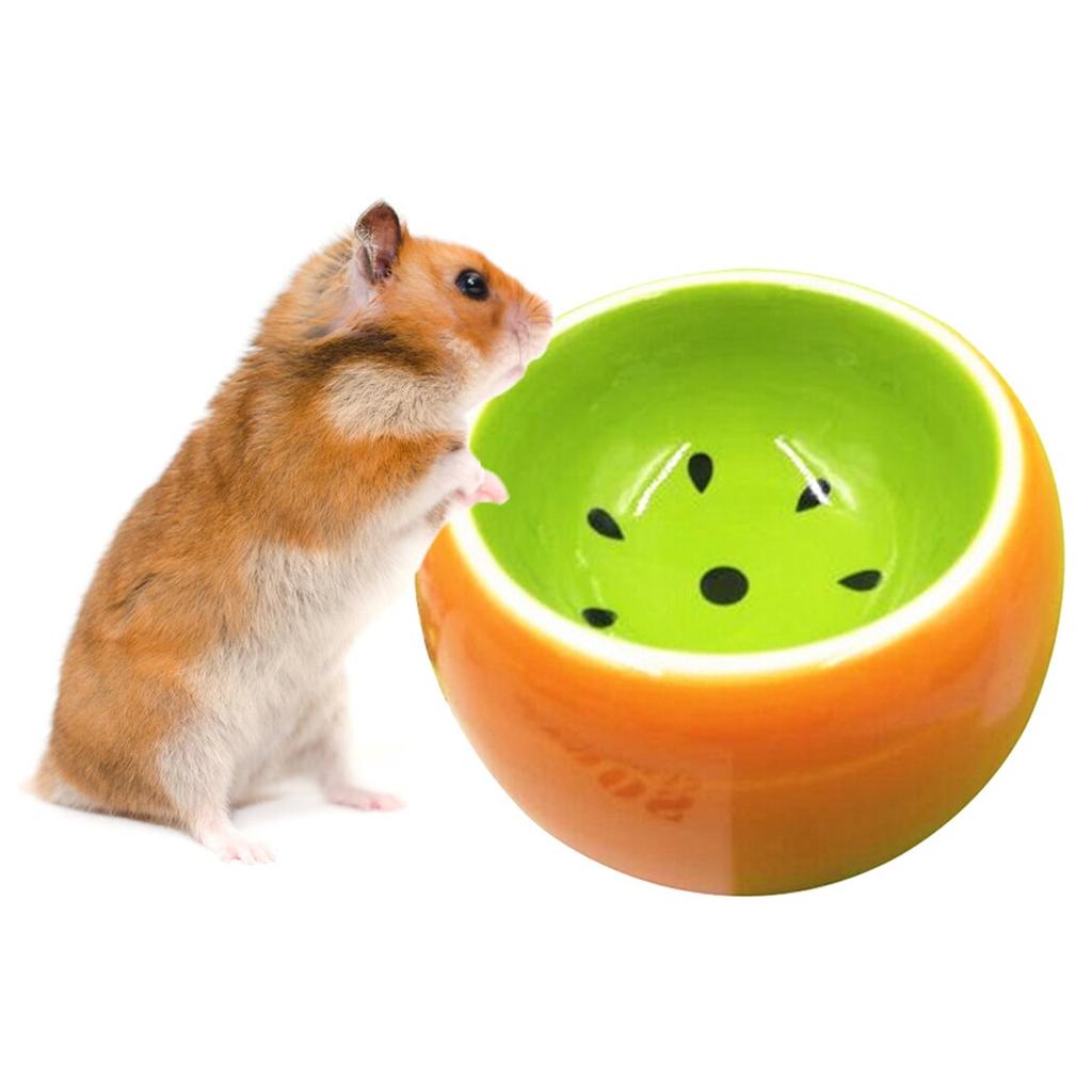 hamster bowls