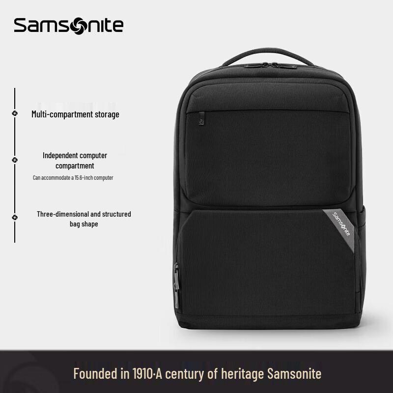 Samsonite Lightweight Business Laptop Backpack