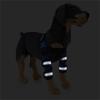 Dog Knee Guard Dog Elbow Sleeve Protector Dog Leg Brace Front Wrist Dog Knee Cover Anti Licking Wound Dog Recovery Leg C