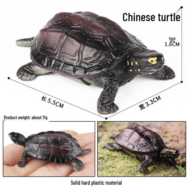 European & Indian Star Tortoise Simulation Toy for Car Decoration