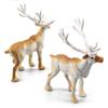 Whale Reindeer Figurine Miniature Seals Walruses Arctic Animal Model Polar Bear Fox Rabbit