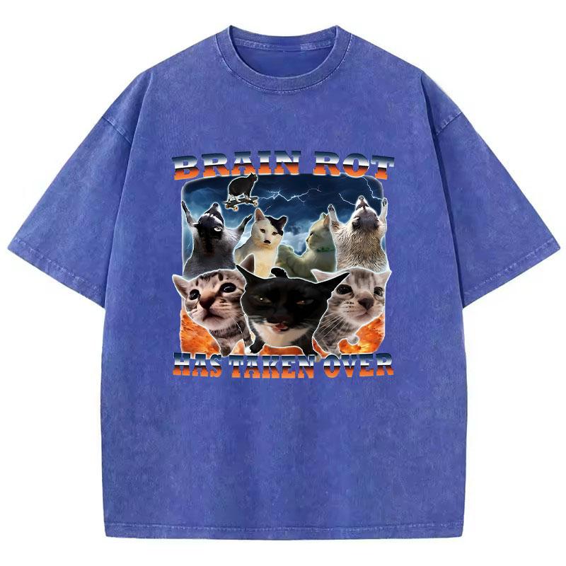 T Shirt Vintage Washed Cotton T-Shirt Graphic Brain Rot Has Taken Over Cat Graphic Tee Casual Streetwear Spring Summer Fall