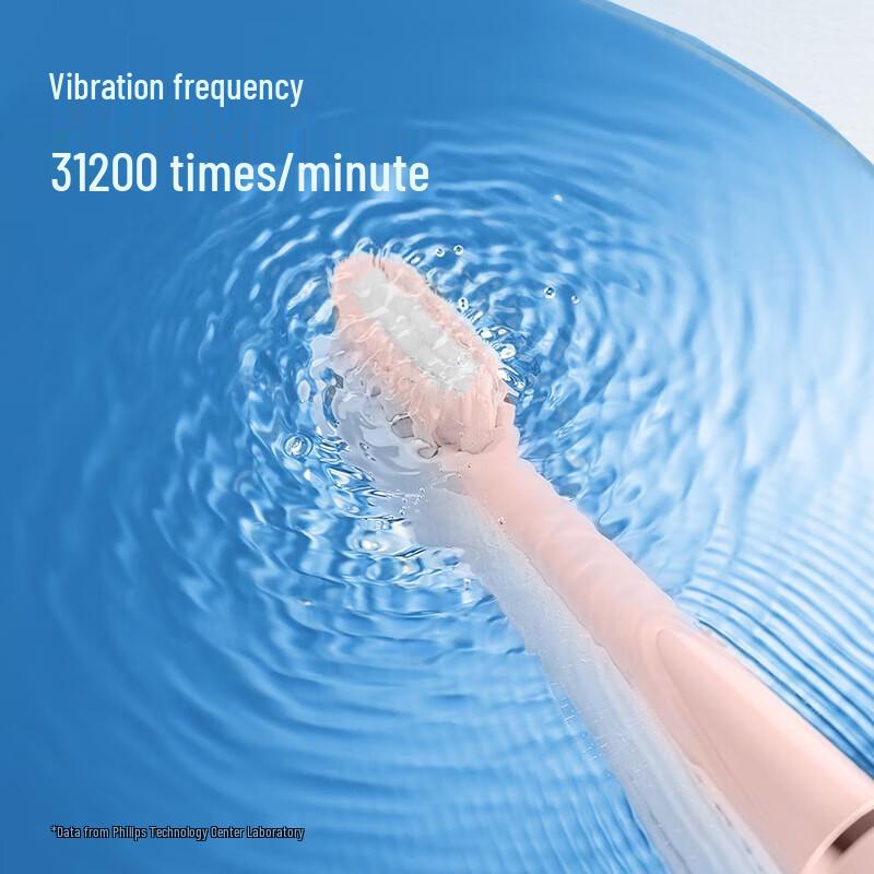 Flyco FT7108 Sonic Electric Toothbrush