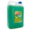 Gold Cytrus Dish Soap 5L