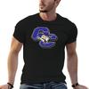 Curry College Colonels TShirt Streetwear Print Tee Shirt