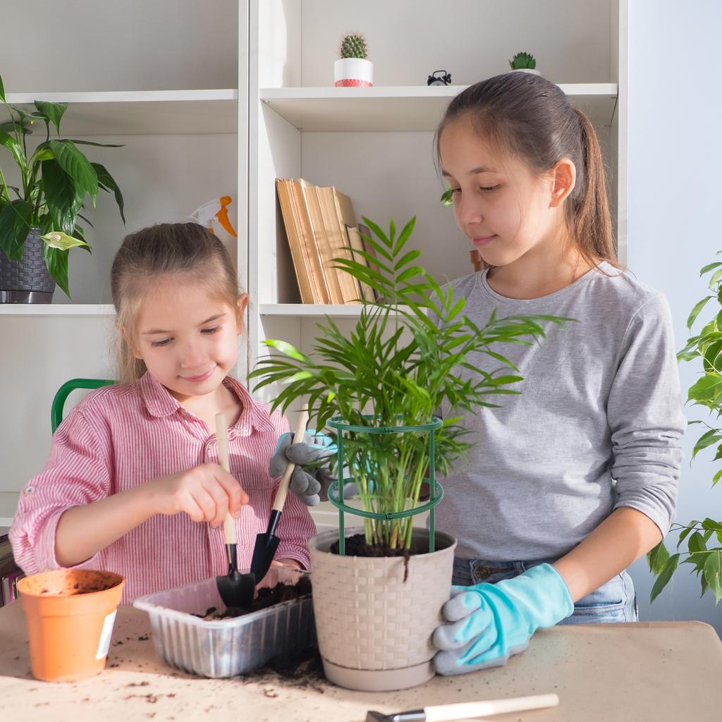 6Pcs Plant Support Stakes Plastic Plant Support Multifunctional Garden Flower Support Indoor Plant Stake Garden Supplies