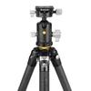 VANGUARD VEO 5 Series Tripod Full Size Compact Storage 5 304CB (VEO 250S)