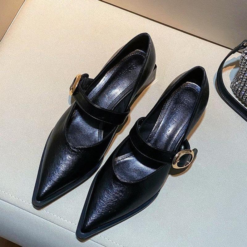 Designer Vintage Pointed Toe Women Mary Jane Shoes Fashion Shallow Buckle Shoes Spring Ladies Elegant Dress Thick Heel Shoes