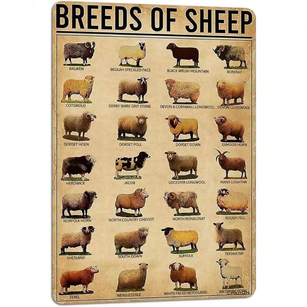 

Vintage Sheep Breeds Metal Tin Sign 8x12 Inch Rustic Wall Art Farmhouse Home Decor Educational Iron Sign 20x30 різнокольоровий