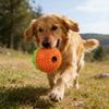 Treat-Dispensing Puzzle Ball for Medium Large Dogs TPR Chew Toy with Protruding Dot Tooth Cleaning Texture Food Leakage Pet Toy for Slow Feeding