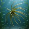 6Pcs Fishing Sea Urchin Lures Tear Resistance Soft Floating Swimbait Slow Sinking Artificial Baits for Saltwater Freshwat