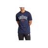 Adidas Americana Grafik-T-Shirt Legend Ink Herren Streetwear IN6477