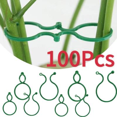 50/100 Stück Gartenpflanzenclips für den Gemüseanbau, aufrecht stehender Pflanzenhalter, grüner Kunststoff, gebündelter Ring, Gartenständer, Werkzeug, Rebenstütze