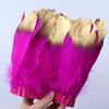 1 Meter Soaked Goose Feather Decorative Ribbon Natural Swan Feather Decorative Wedding Dress Feather Dyeing 15-20Cm