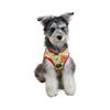 Pet clothing dog cat vest bear print cute breathable new clothes summer clothing thin small medium dog