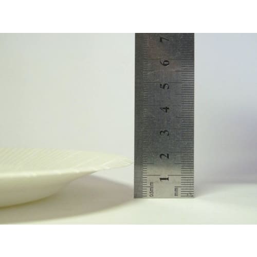 [Water-resistant Surface Treatment! Perfect for Outdoor Activities and Parties] 23cm Paper Plates, 8-count, Disposable, Made In Japan [Set of 2]