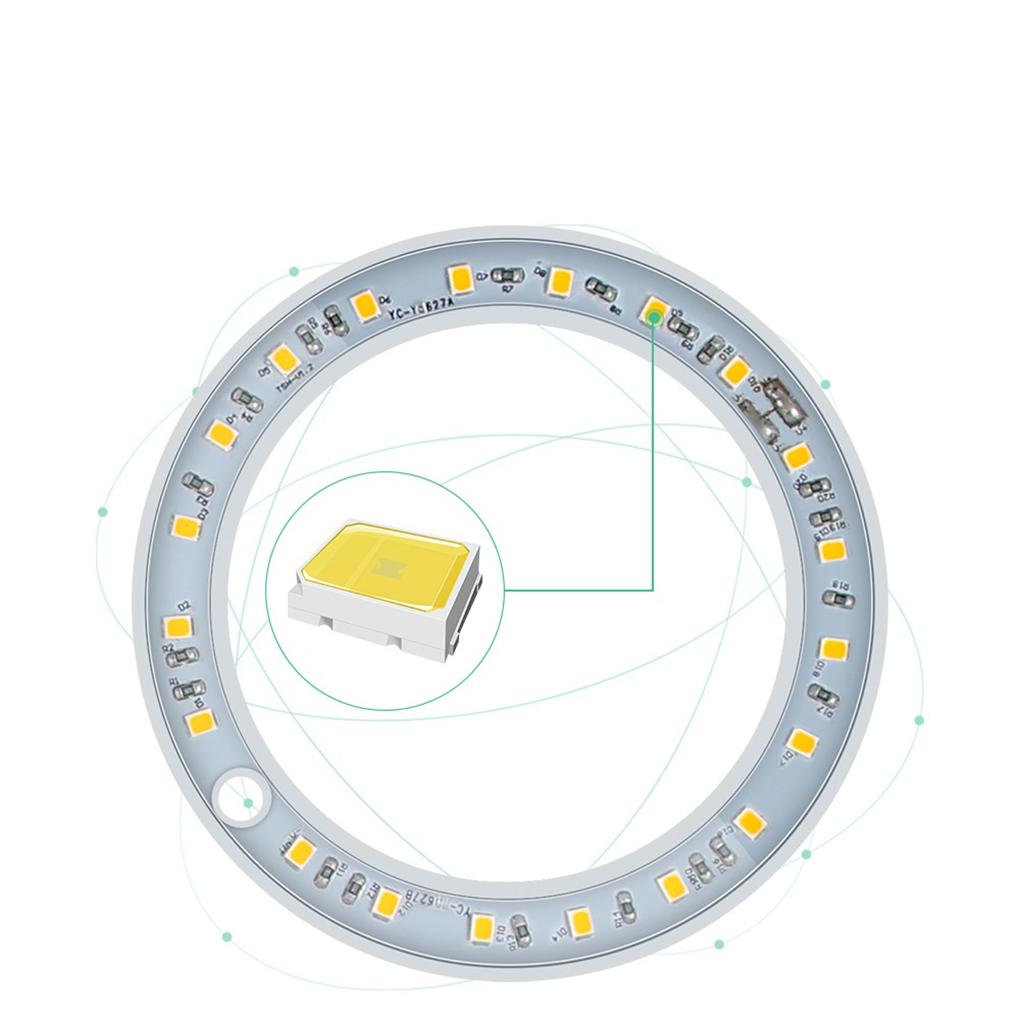 Greenhouse Essential LED Grow Lamp With Circular Memory Timing Function For Plant Seedlings Lamp