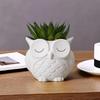 Ceramics Succulent Pot Cute Green Onion Pots Home Decor Owl Planter  Patio