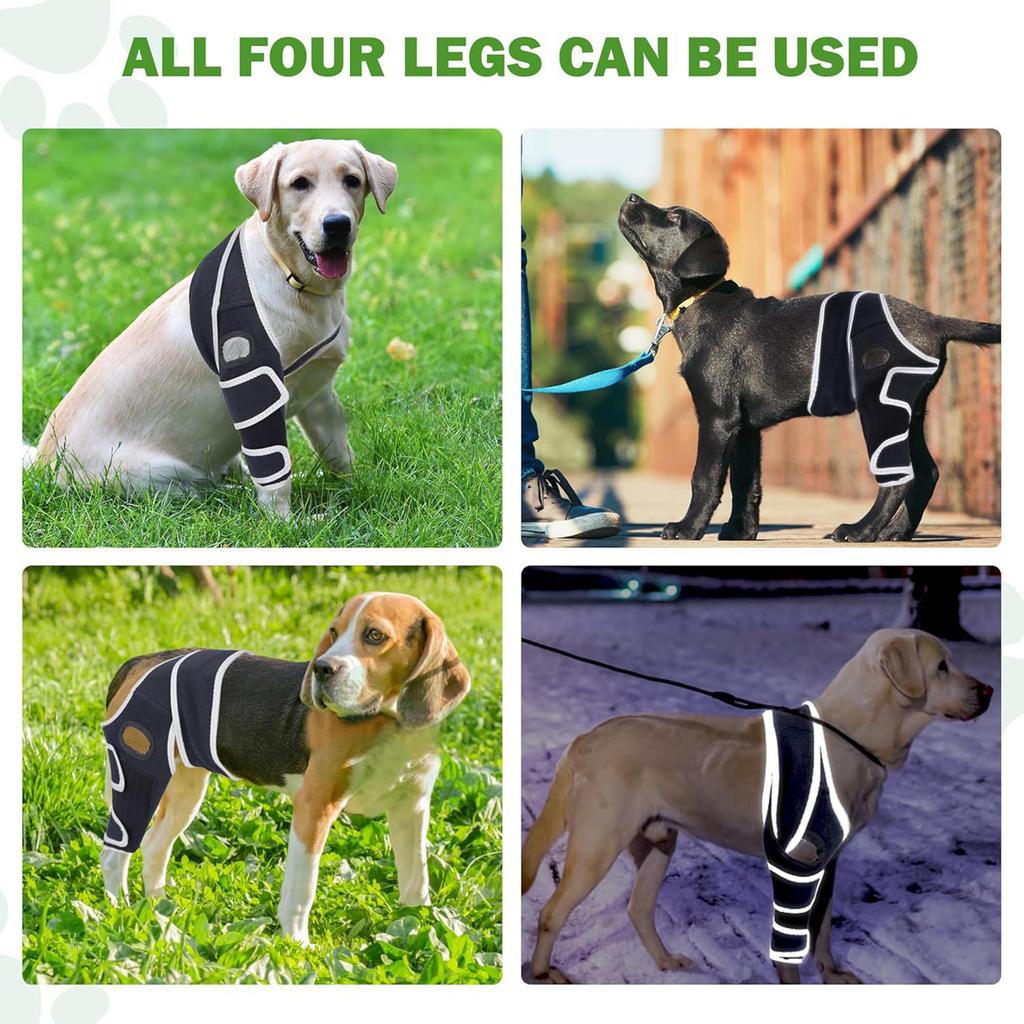 Strong Support Knee Dog Knee Brace For Back Leg