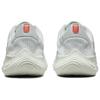 Nike Flex Experience Run 11 Next Nature Pure Platinum Light Crimson Women Sneakers Grey Wolf-Grey Summit-White DD9283-007