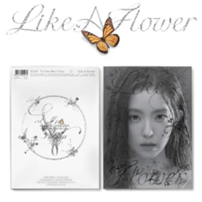 Irene - Mini 1st [Like A Flower] (Photo Book Ver.)  Release Date: 2024.11.27