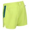 Regatta Mens Rehere Shorts