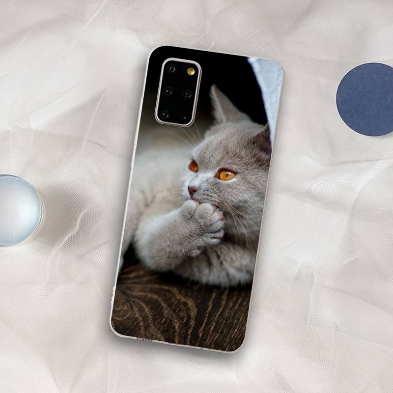 British Shorthair cat Phone Case for Samsung S21 A10 for Redmi Note 7 9 for Huawei P30Pro Honor 8X 10i cover