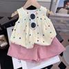 Girls Summer 2 Piece Outfit Sleeveless Doll Shirt And Shorts Set Casual Sportswear For Toddler And Little Kids