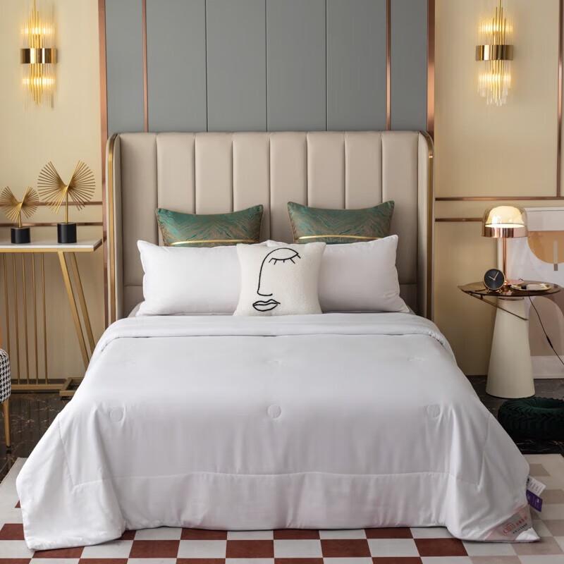 QI LU Feng Ya Tussah Silk Blend Summer Quilt