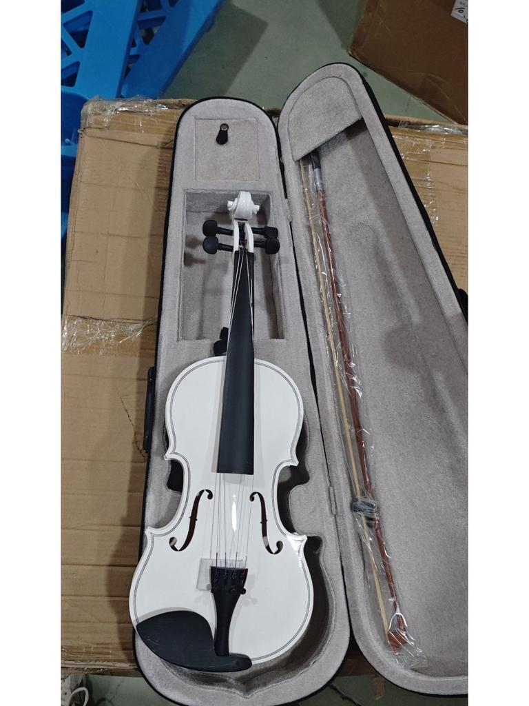 4/4 Solid Wood Beginner Violin Set for Adults and Children