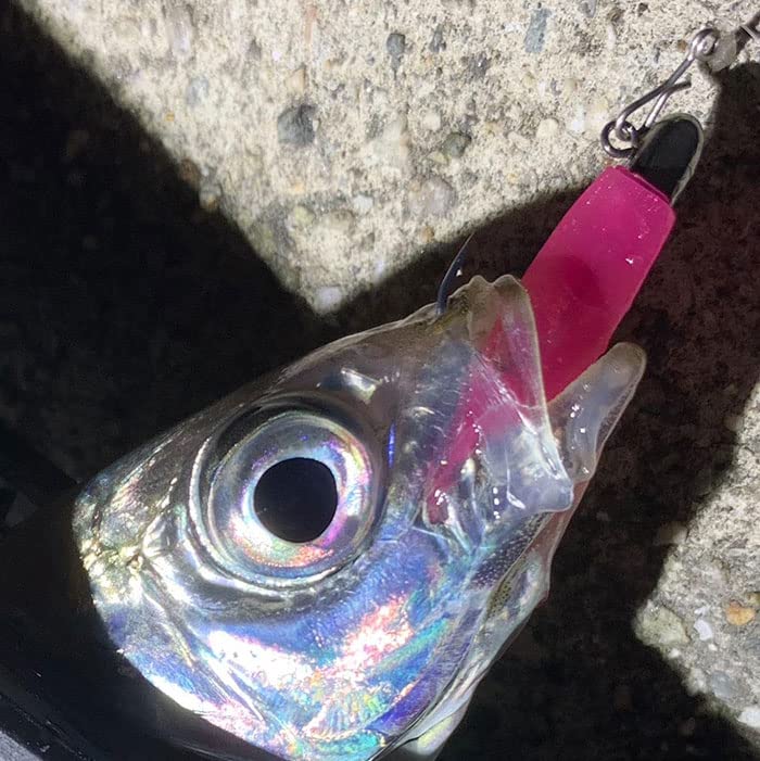 Tetsuwan Light Premium Aji Light Game Worm (Ajiko Worm) - Fishing, Mebaring, (Clear Keimura)