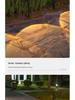 Solar Pathway Lights: Outdoor Garden Atmosphere Lights