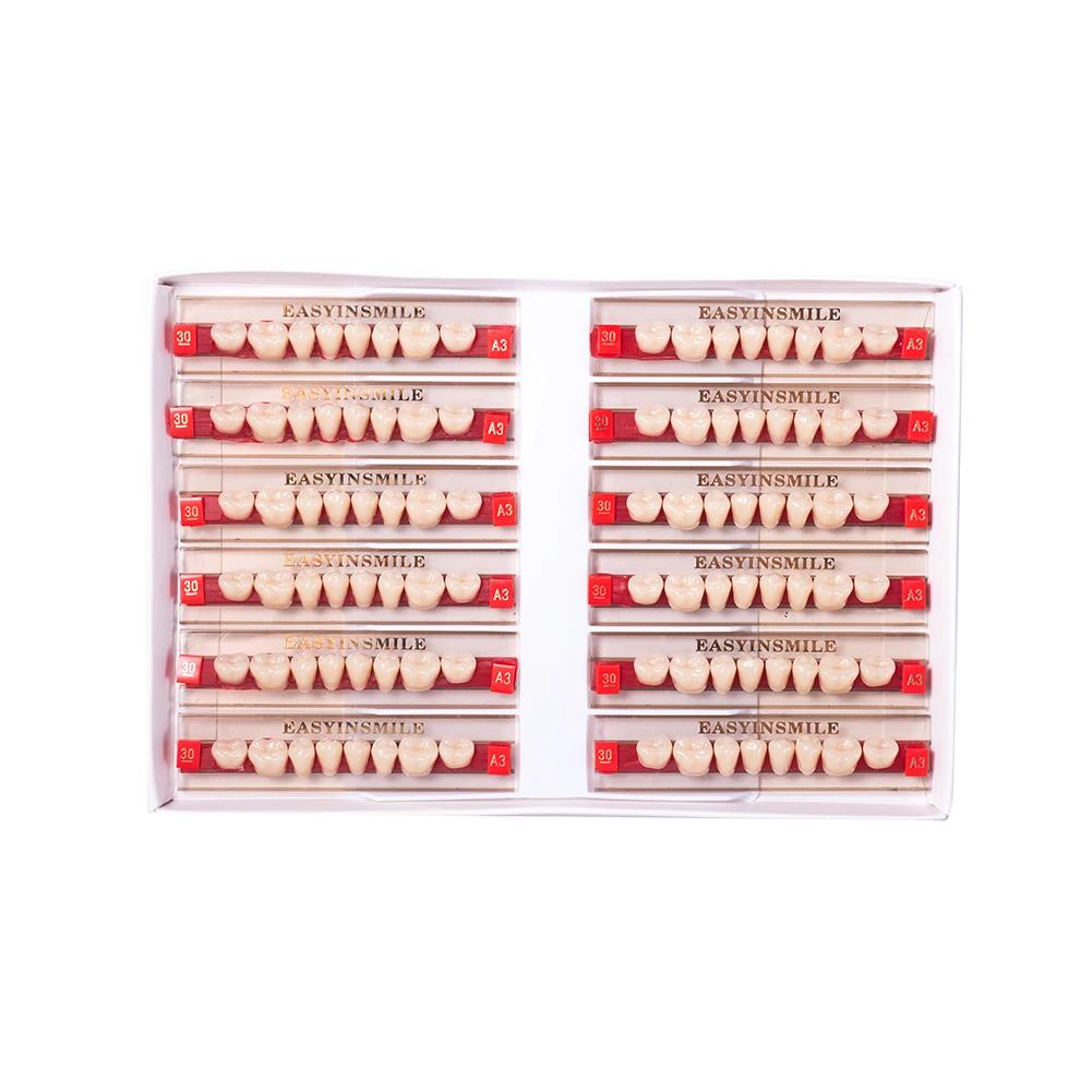 16/12 Sätze/Karton Zahnprothese Zähne Oberkiefer Frontzähne Unterkiefer Seitenzähne Dentier Synthetisches Polymerzähne Zahnmedizinische Ausbildungsmodell