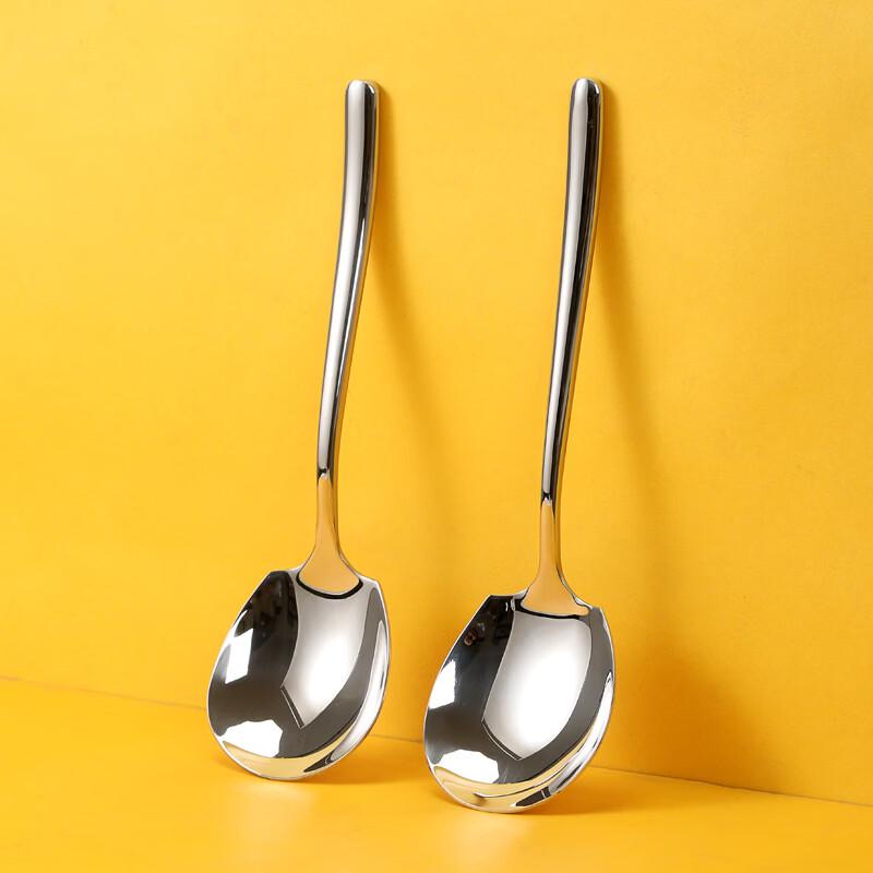 Stainless Steel Serving Spoon
