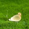 10Pcs Miniature Pigeon Home Decor Diy Accessories Luminous Dove Glow At Night Doll House Decoration Fairy Garden Decorate