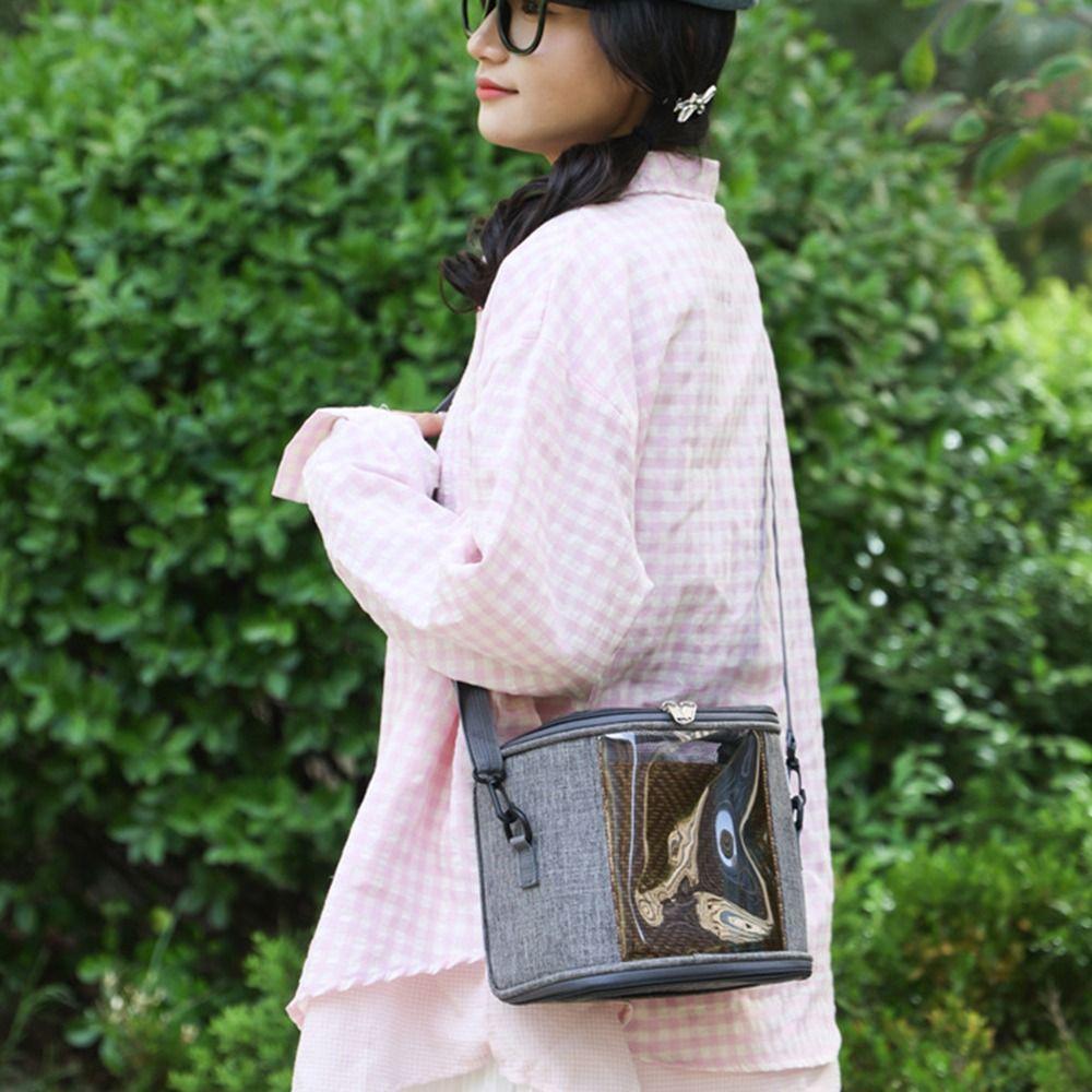 Handheld Hamster Travel Carrier Clear View Guinea Pig Carry Bag Chinchilla Outdoor Cage  Parrot