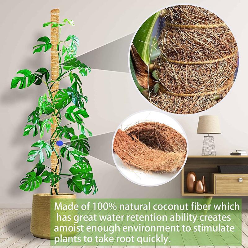 Plant Climbing Frame Coconut Shell Moss Palm Cane Gardening Coconut Rod Stretch Plant Climbing Pole Indoor Plant Creeper