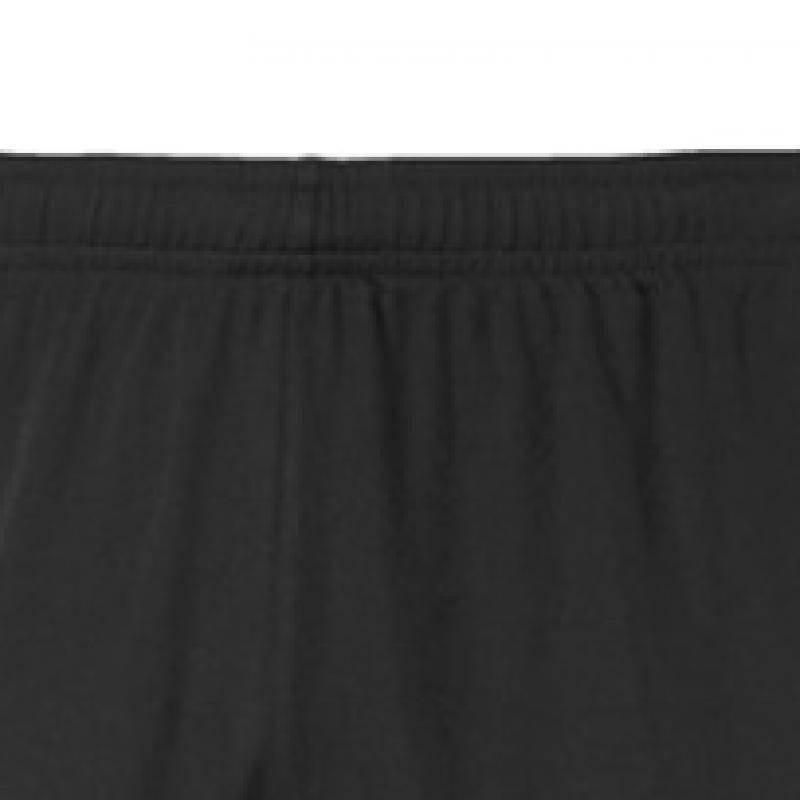 Puma Team Goal Men S SweatShirt polyeSter Training ShortS