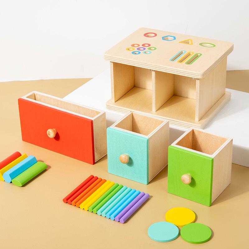Montessori Color & Shape Sorting Cognitive Toy for Kids