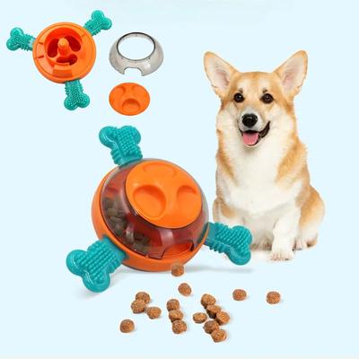 Köpek – Köpek oyuncakları