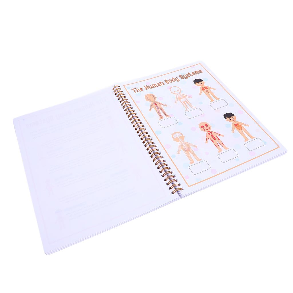 Human Body Anatomy Book for Toddlers Interactive Preschool Learning Human Body Anatomy Book