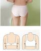 European & American Stylish Lace Front Buckle Wirefree Bra - Minimizes and Enhances with Beautiful Back