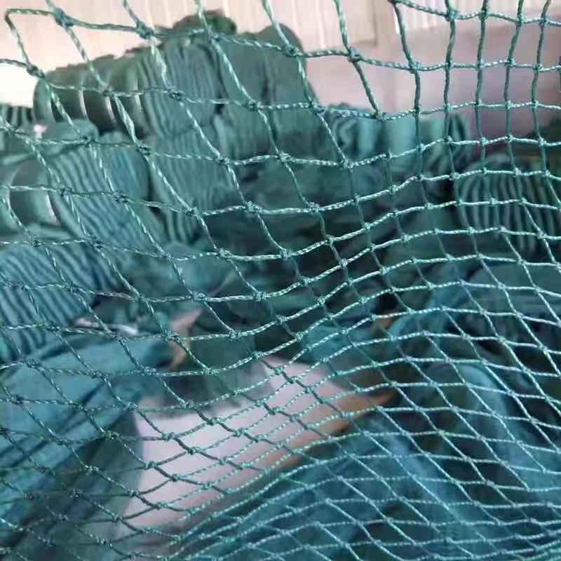 Poultry and Garden Netting: Versatile Enclosures for Chickens, Ducks, Geese, and Vegetables