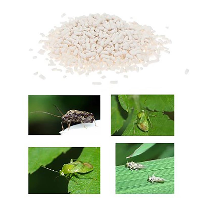 Thiamethoxam Insecticide Stinging Pest Aphid Pesticide Protection Garden Plant