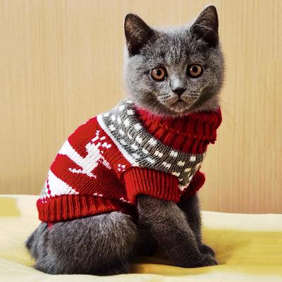 Niedlicher Katzenpullover Kostüm Winter Warm Haustierkleidung für Katzen Katten Sphynx Pullover Mascotas Kleidung Gatos Produkte für Tiere