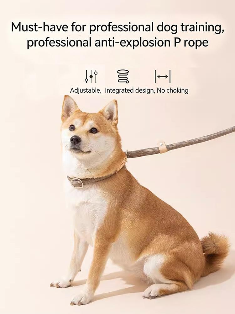 1,8m Anti-Knal Hondentuig P-Ketting Halsband No-Pull Trainingslijn Anti-Ontsnapping Huisdier Lijn Voor Middelgrote Grote Honden Buiten Wandelen