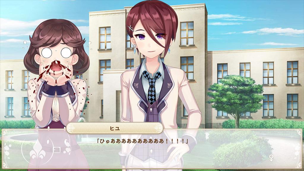 Bokuhime PROJECT Switch -